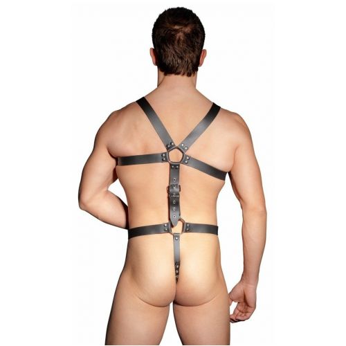Кожаная мужская сбруя с эрекционным кольцом Zado Fetish