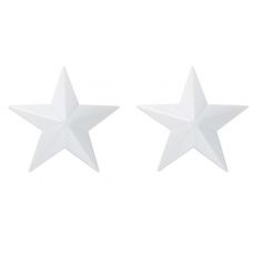 Белые металлические пэстисы звездочки