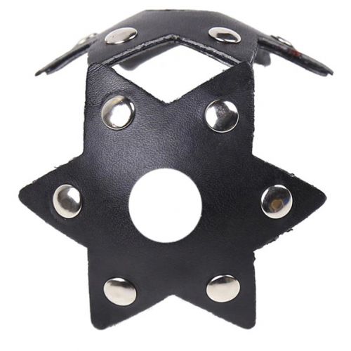 Пэстисы в форме звездочек с заклепками