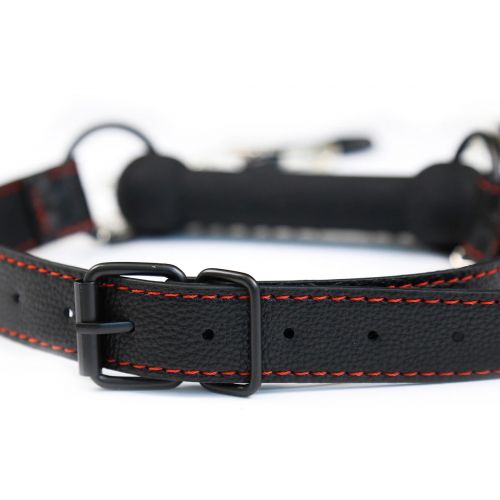 Кляп-трензель с зажимами на соски