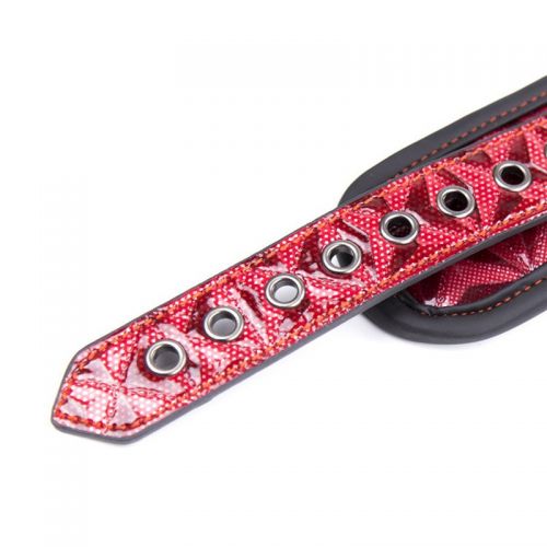 Дизайнерский красный ошейник на поводке 