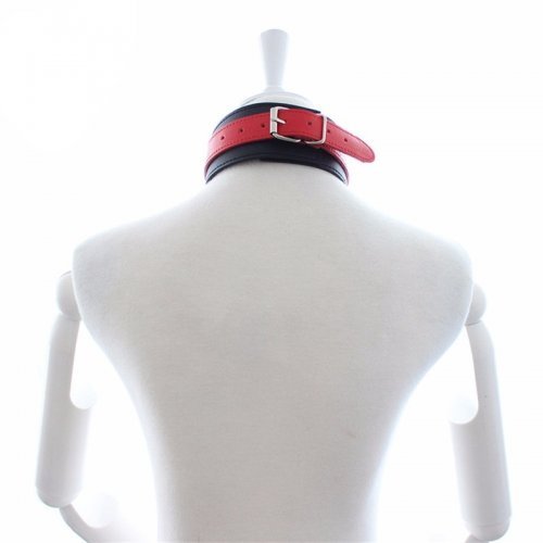 Ошейник с поводком на цепочке red-black