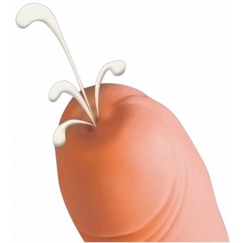 Фаллос с семяизвержением Gum Shot