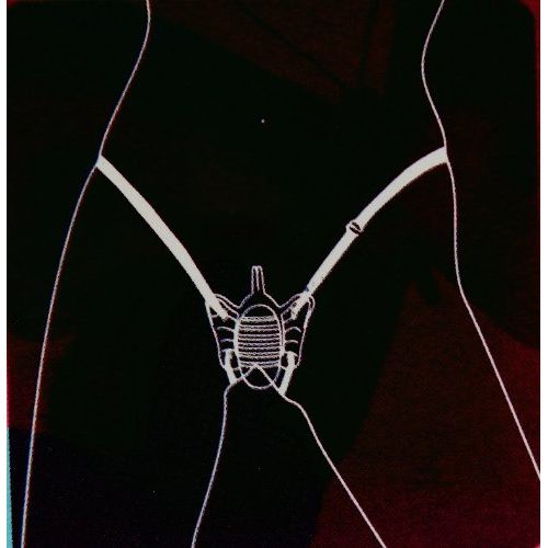 Розовая вибробабочка на ремешках Butterfly Mini с проводным пультом