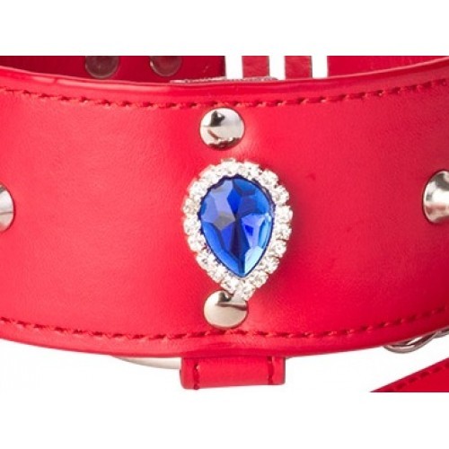 Красный ошейник с поводком на замочке