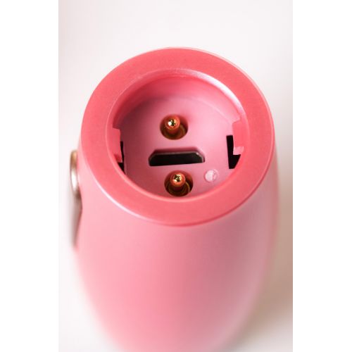 Уникальный вибратор со сменной насадкой Le Stelle Perks