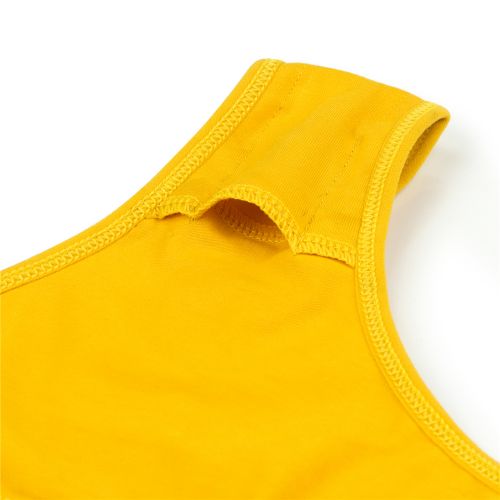 Трусики Bitch S с вибропулей и беспроводным пультом управления Ingen Vibrating Panties