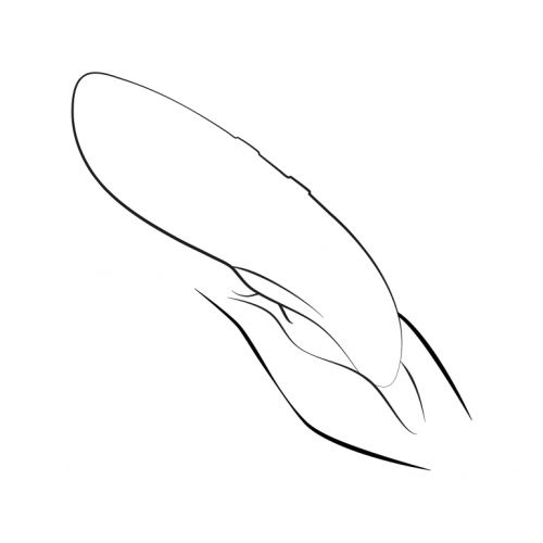 Вибростимулятор We-Vibe Touch X зеленый