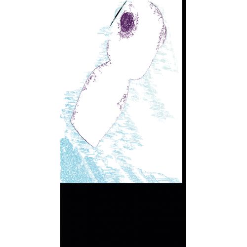 Стимулятор 2 в 1 JOS Kisom, силикон, фиолетовый, 13 см